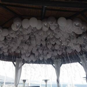 Ceiling Balloon Carpet