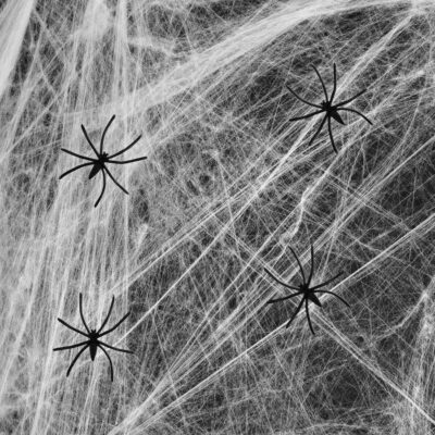 Halloween Spiderweb White 200g