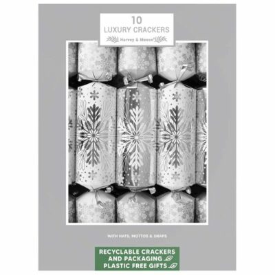 10 LUXURY SILVER SNOWFLAKE 14" CRACKERS