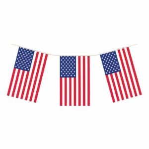 U.S.A Bunting