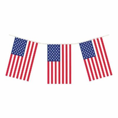 U.S.A Bunting